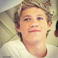 /album/fotogaleria-one-direction/niall-horan-2012-one-direction-32147821-2000-2000-jpg/